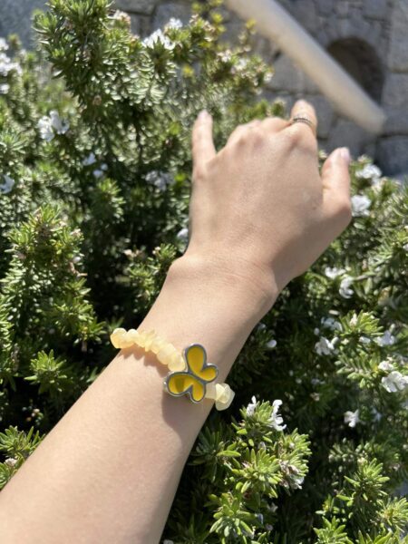 εικόνα_Viber_2023-06-24_11-00-01-246