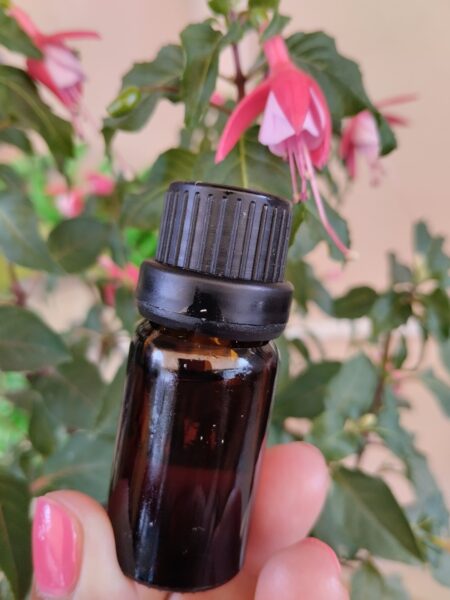 εικόνα_Viber_2023-06-24_11-16-23-331